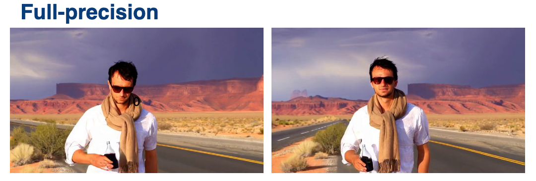 Full-precision video frames used as the visual reference